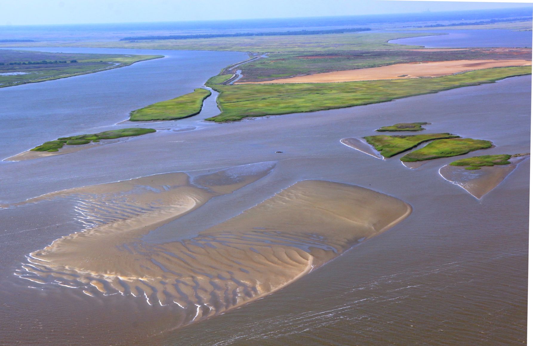 Sand mixing with marsh in Santee Delta shows the delta isn't working as it used to